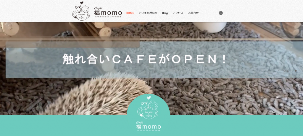 お店紹介 カフェ 福momo フクロモモンガとハリネズミのお店 おもちと雪見のキオクとキロク Blog ハリネズミ 情報サイト