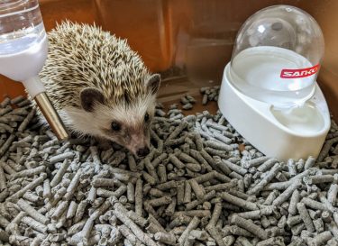 モチノキオク｜水飲みスタイル